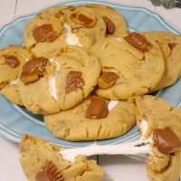 Reese’s Peanut Butter Marshmallow Cookies