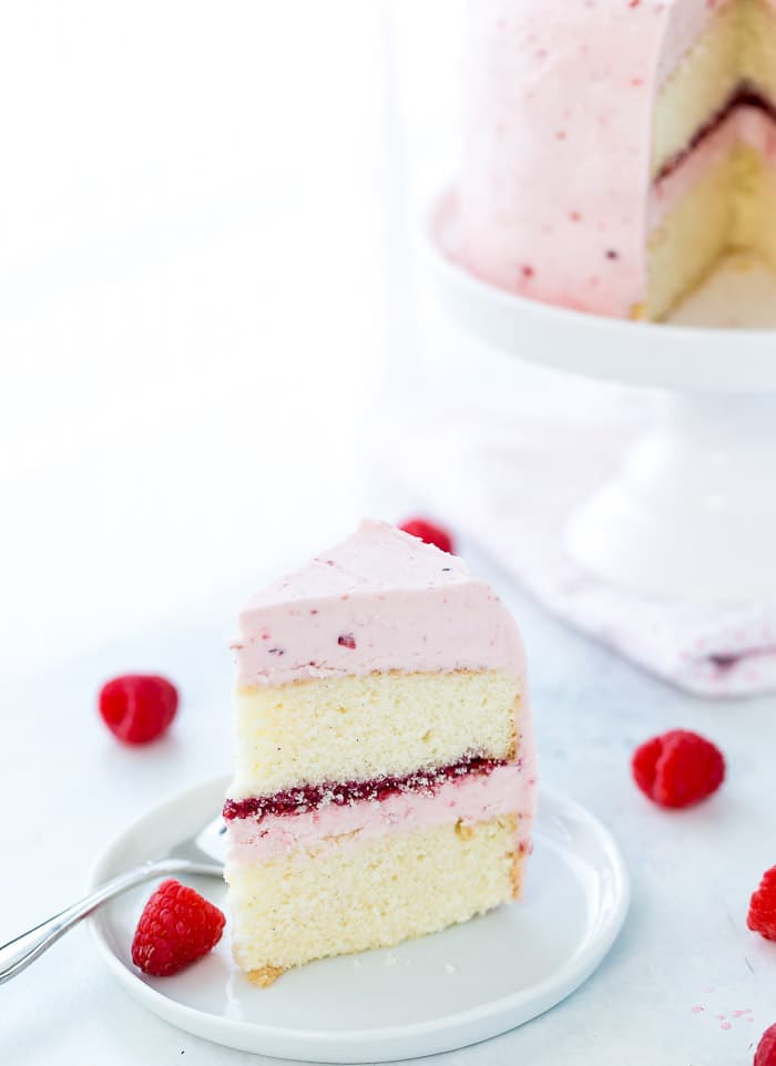 Chocolate Raspberry Ice Cream Cake {gluten-free} - Bright-Eyed Baker