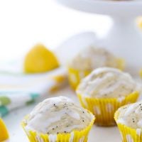 Moist and packed with fresh lemon zest and lemon juice, these dairy free lemon poppy seed muffins are delicious, easy to make (one bowl) and a great recipe.