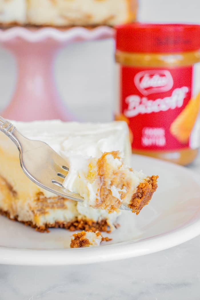 White Chocolate Biscoff Cheesecake