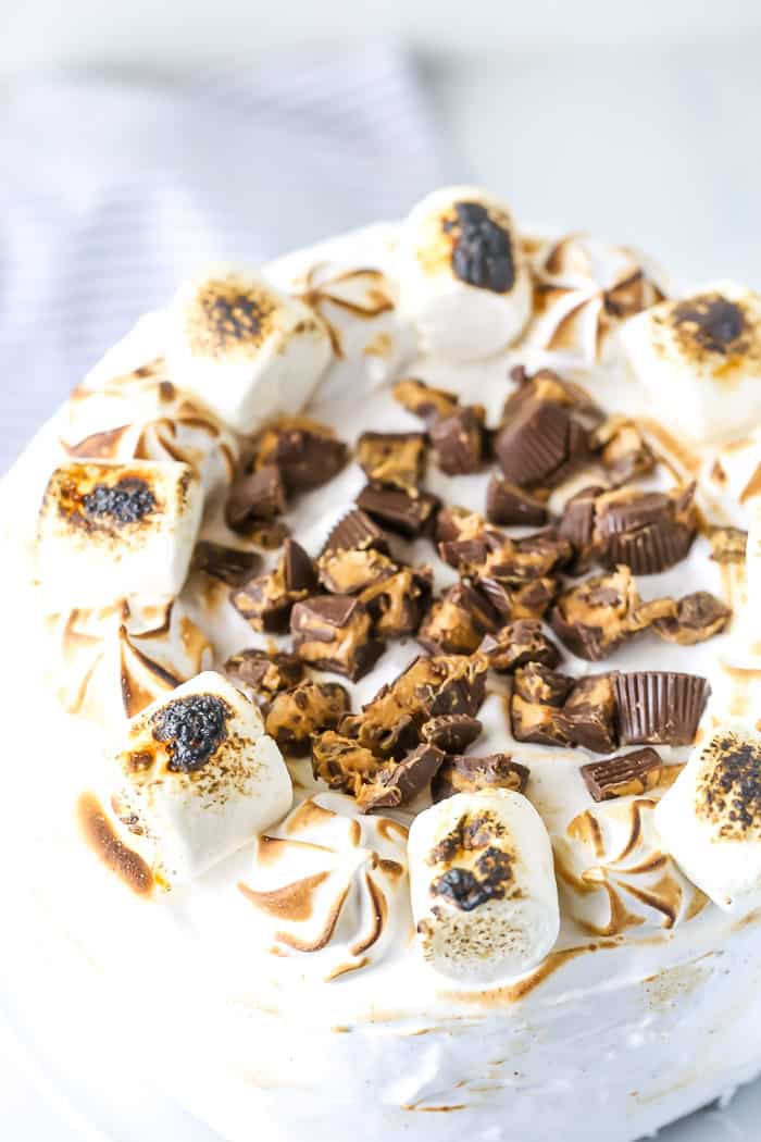 Elvis S'mores Cake