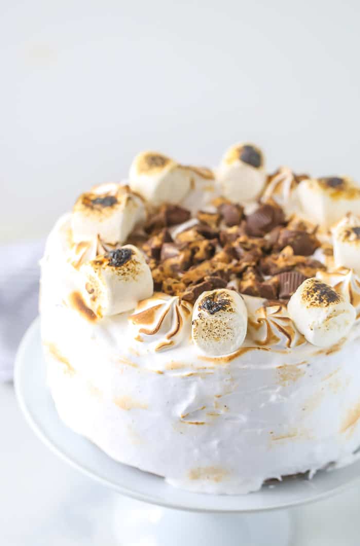 Elvis S'mores Cake