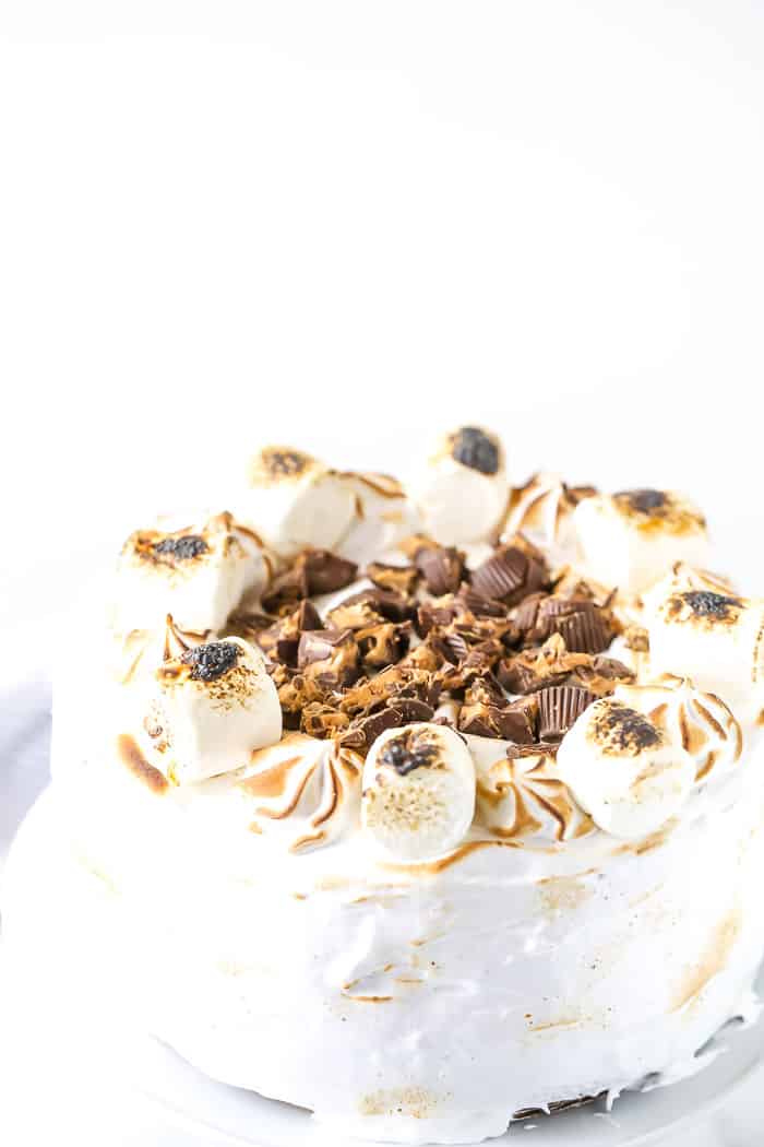 Elvis S'mores Cake