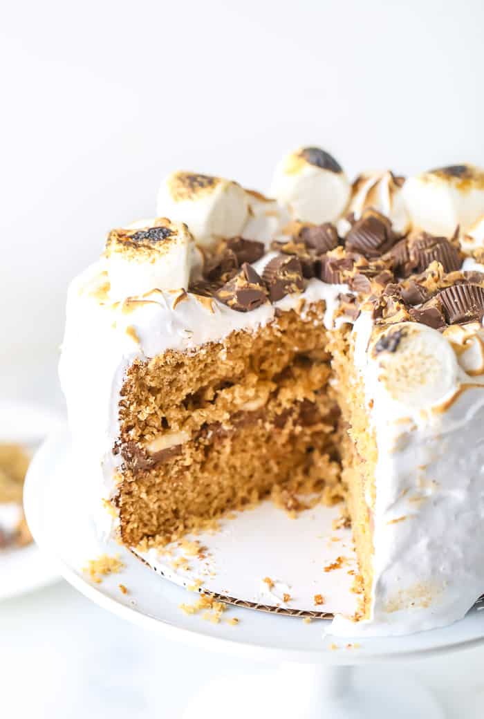 Elvis S'mores Cake