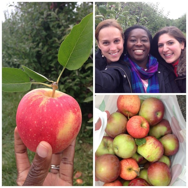 Apple Collage