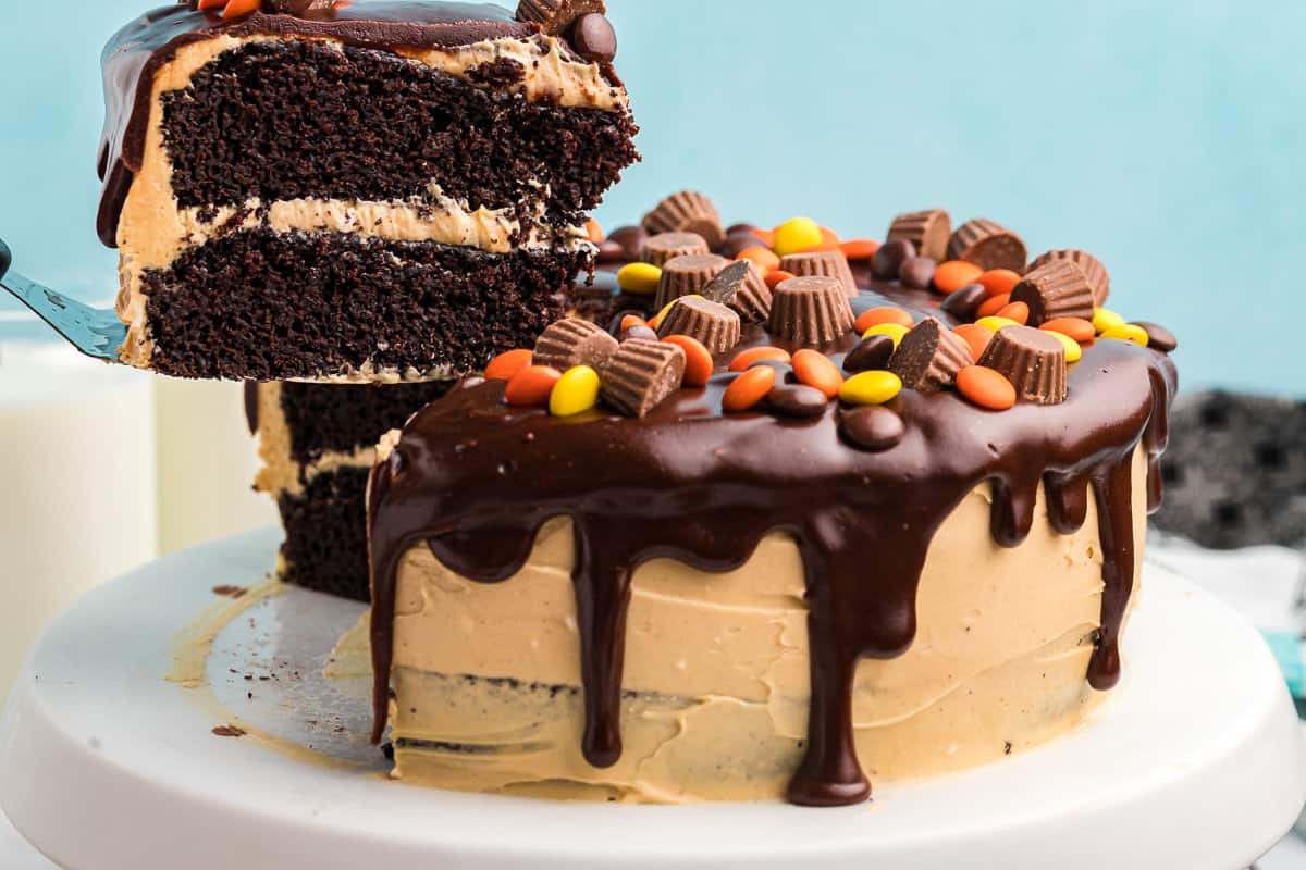 Chocolate Peanut Butter Cake