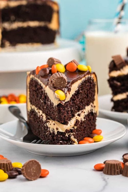 Chocolate Peanut Butter Cake - A Classic Twist