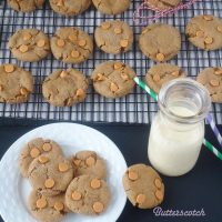 Butterscotch Gingersnap Molasses Cookies