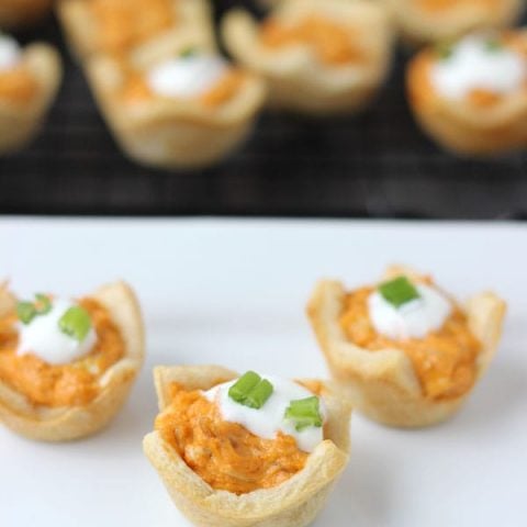 Buffalo Chicken Dip Bites