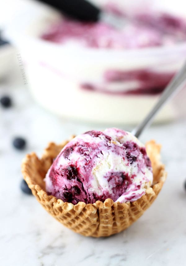 Blueberry Cheesecake Ice Cream