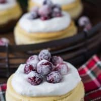 Eggnog Cheesecake with Gingersnap Crust