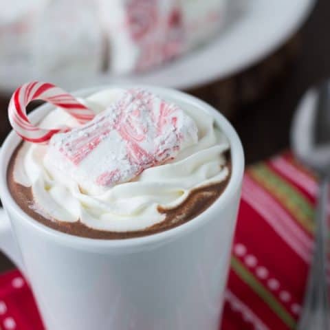 Homemade Peppermint Hot Cocoa