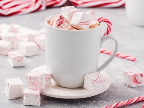 Peppermint hot chocolate with marshmallow and candy cane sweets in