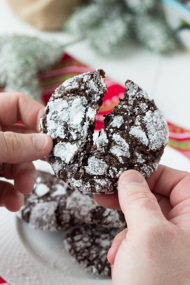 Double Chocolate Crinkle Cookies - deep chocolate flavor with a moist gooey interior!