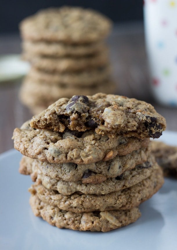 These flourless almond butter chocolate chip oatmeal cookies are soft and chewy and gluten-free! 