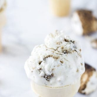 Coconut Marshmallow Fluff Ice Cream