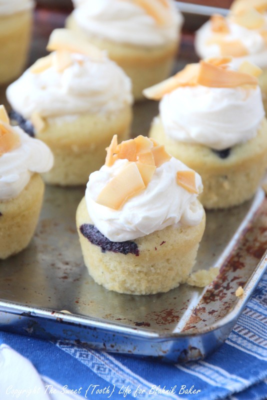 These Mini Blueberry Coconut Cupcakes are dairy free, delicious and bursting with fresh blueberries. 