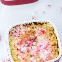 Peppermint White Chocolate Creme Brulee