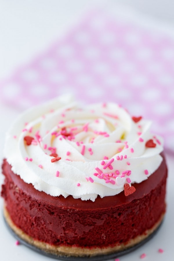 Mini Red Velvet Cheesecake - rich and creamy recipe