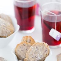 Hibiscus Madeleines
