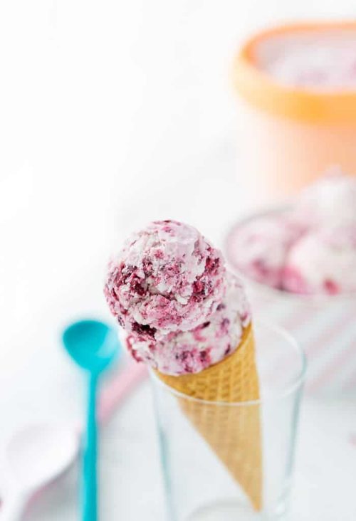 blackberry coconut ice cream