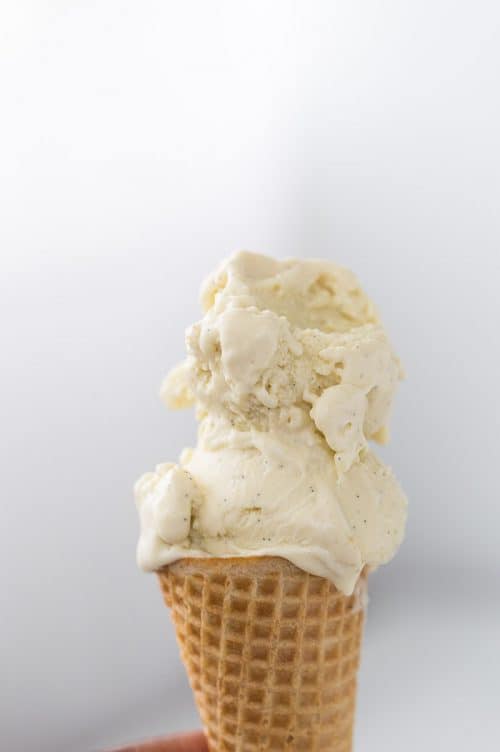 Homemade Coconut Basil Ice Cream Recipe