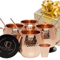 Moscow Mule Copper Mugs - Set of 4