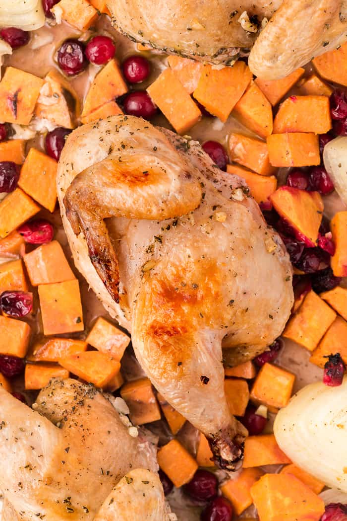 Best Chicken with Sweet Potatoes and Cranberries