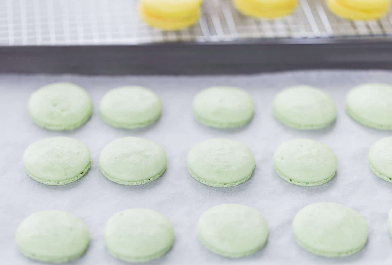 Lemon Lime Macarons