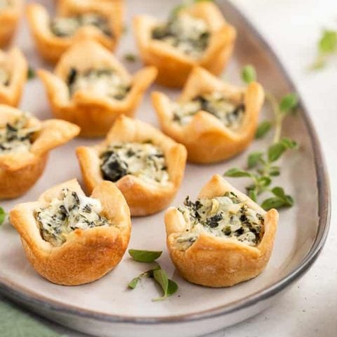 Spinach Artichoke Dip Bites