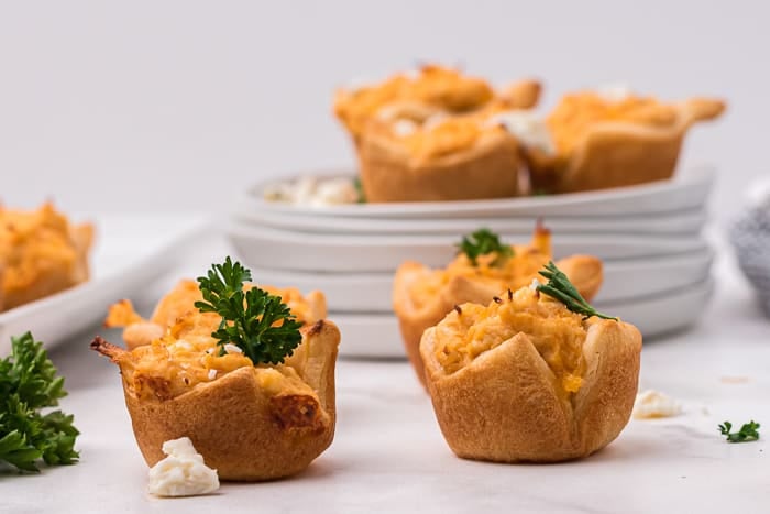 Buffalo Chicken Dip Bites