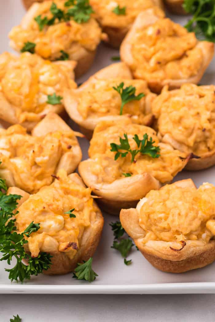 Buffalo Chicken Dip Bites