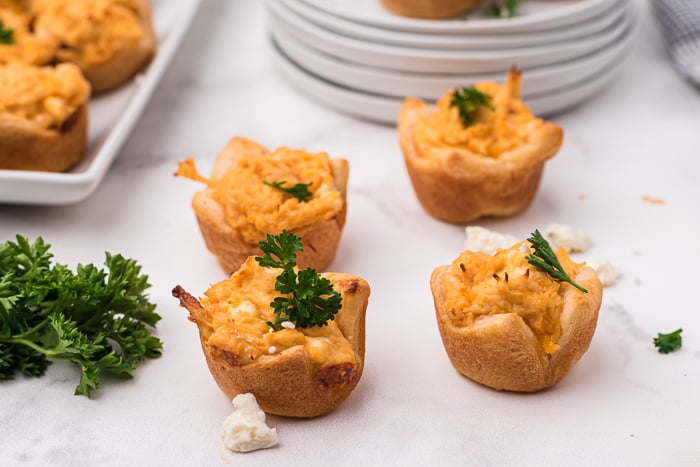 Buffalo Chicken Dip Bites