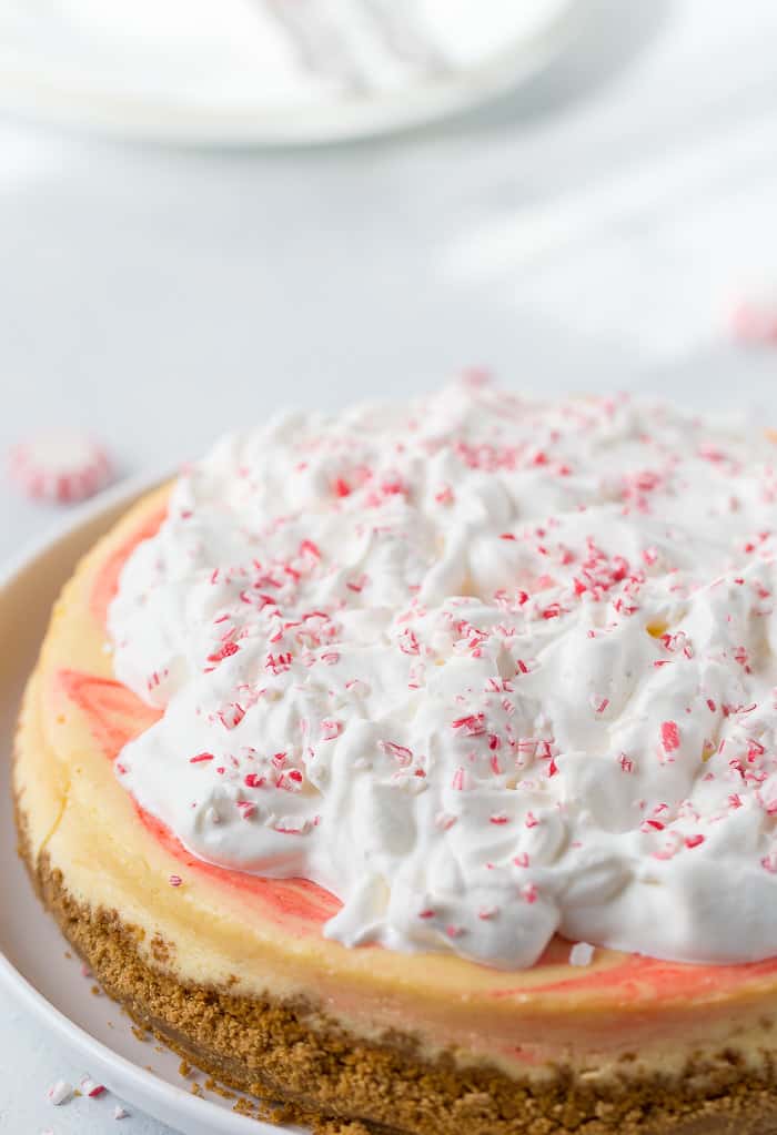 peppermint cheesecake