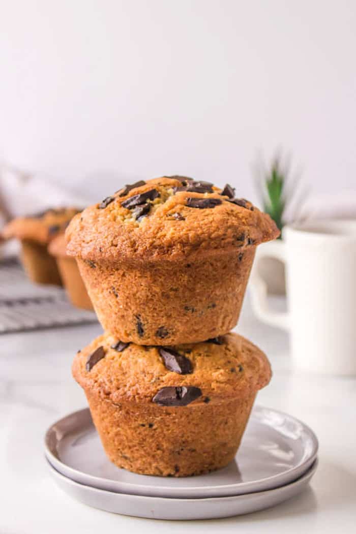 Chocolate Chip Muffins