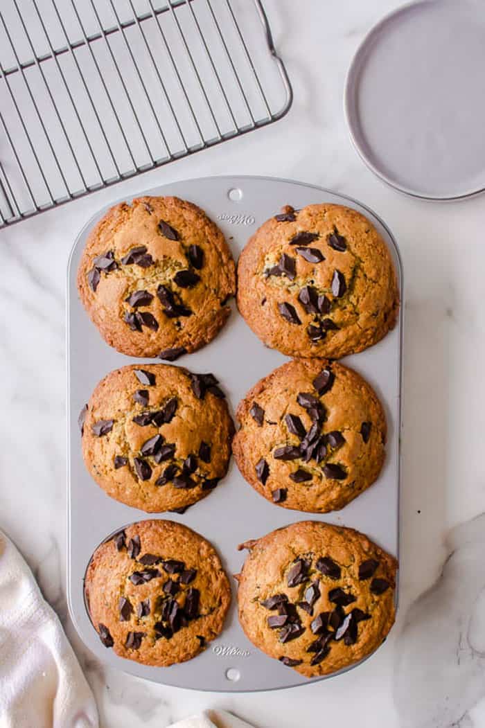 Chocolate Chip Muffins