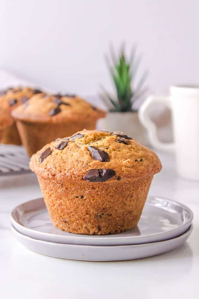 Chocolate Chip Muffins