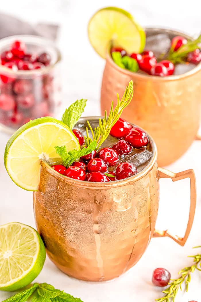 Cranberry Moscow Mule - The Endless Meal®