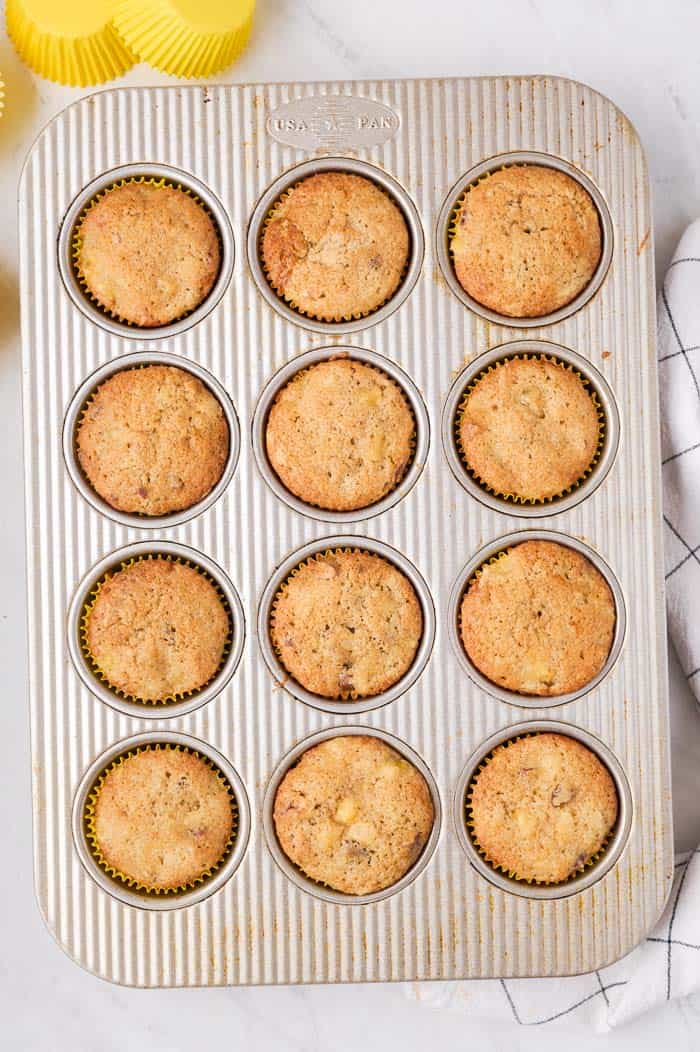 Hummingbird cupcakes