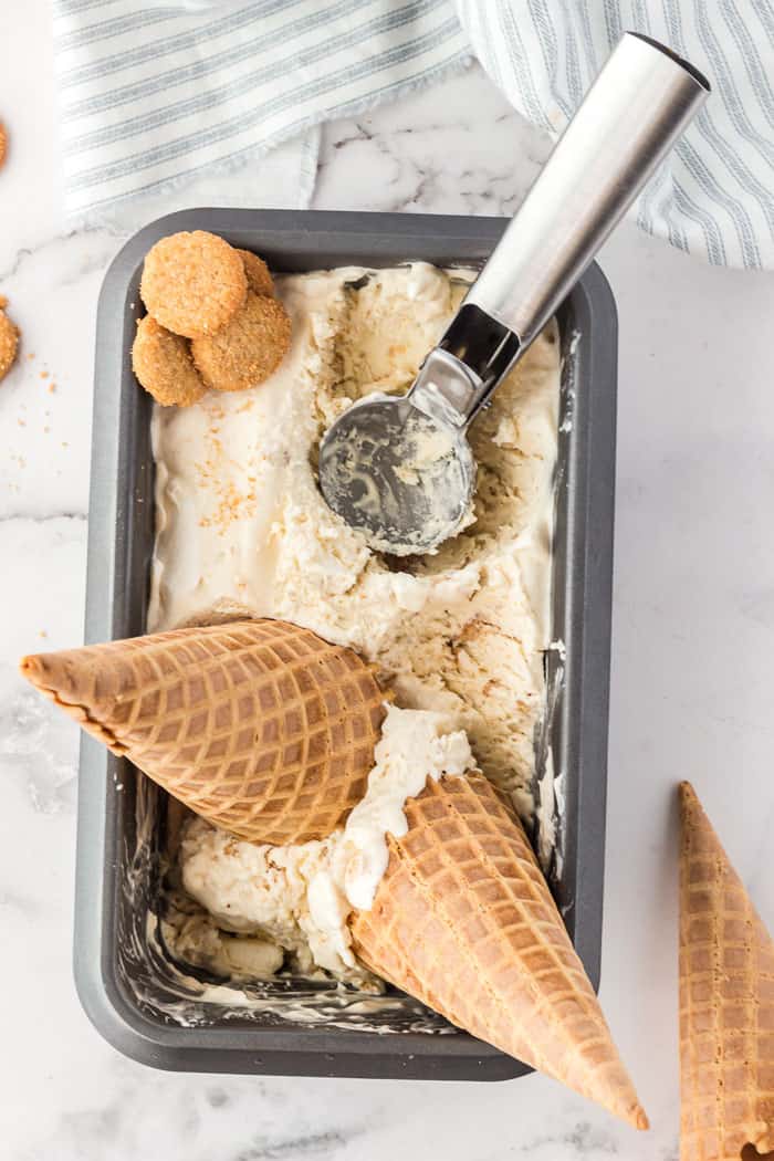 No-Churn Snickerdoodle Ice Cream