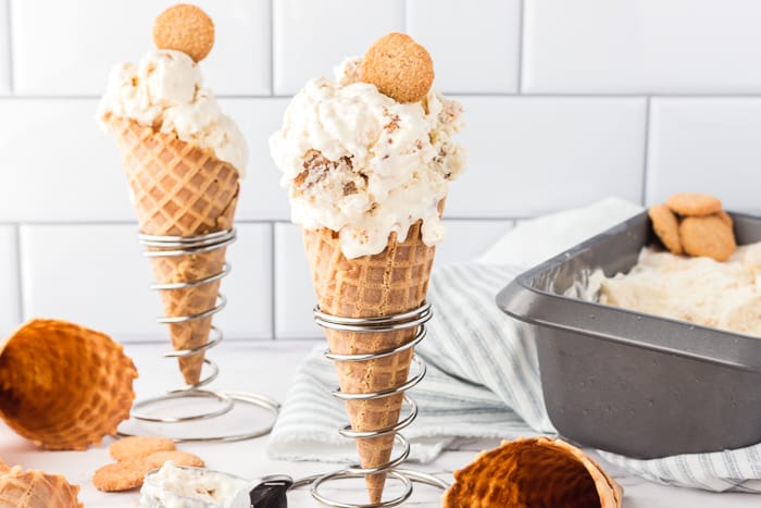 No-Churn Snickerdoodle Ice Cream