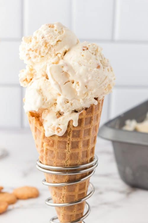 No-churn Snickerdoodle Ice Cream - A Classic Twist