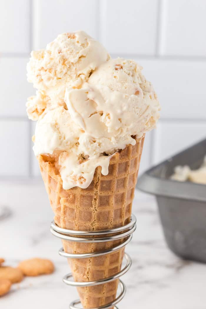 No-Churn Snickerdoodle Ice Cream