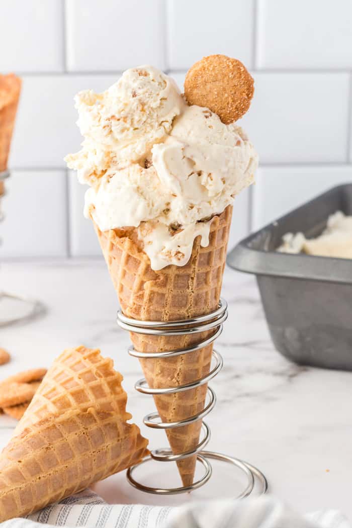 No-Churn Snickerdoodle Ice Cream