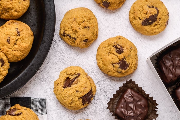 Chocolate Peanut Butter Pumpkin Cookies