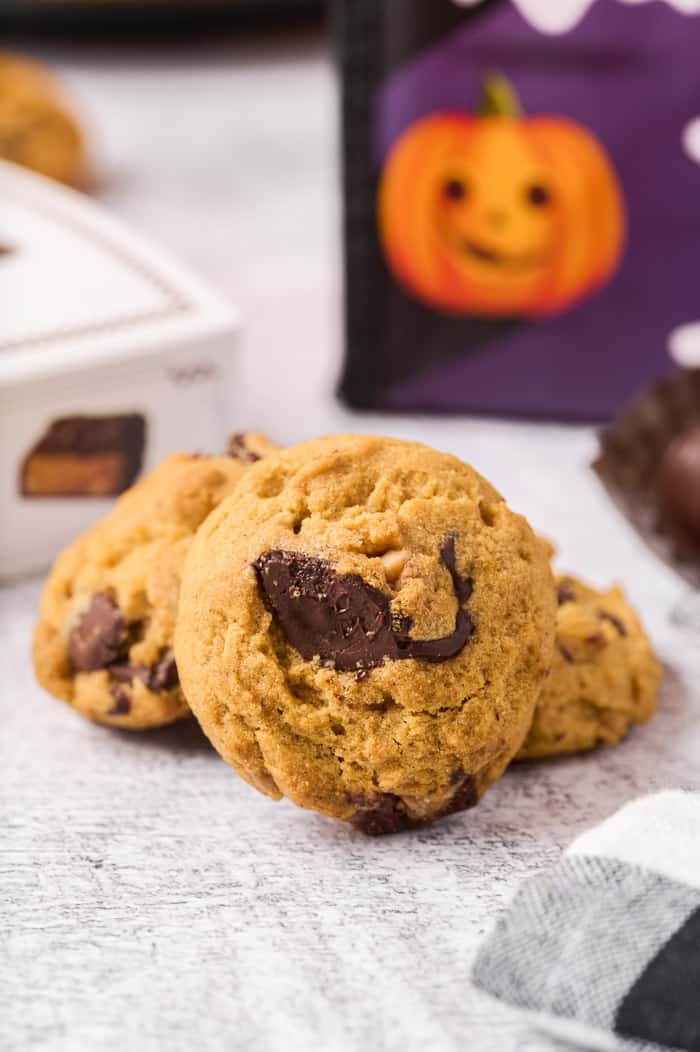 Chocolate Peanut Butter Pumpkin Cookies