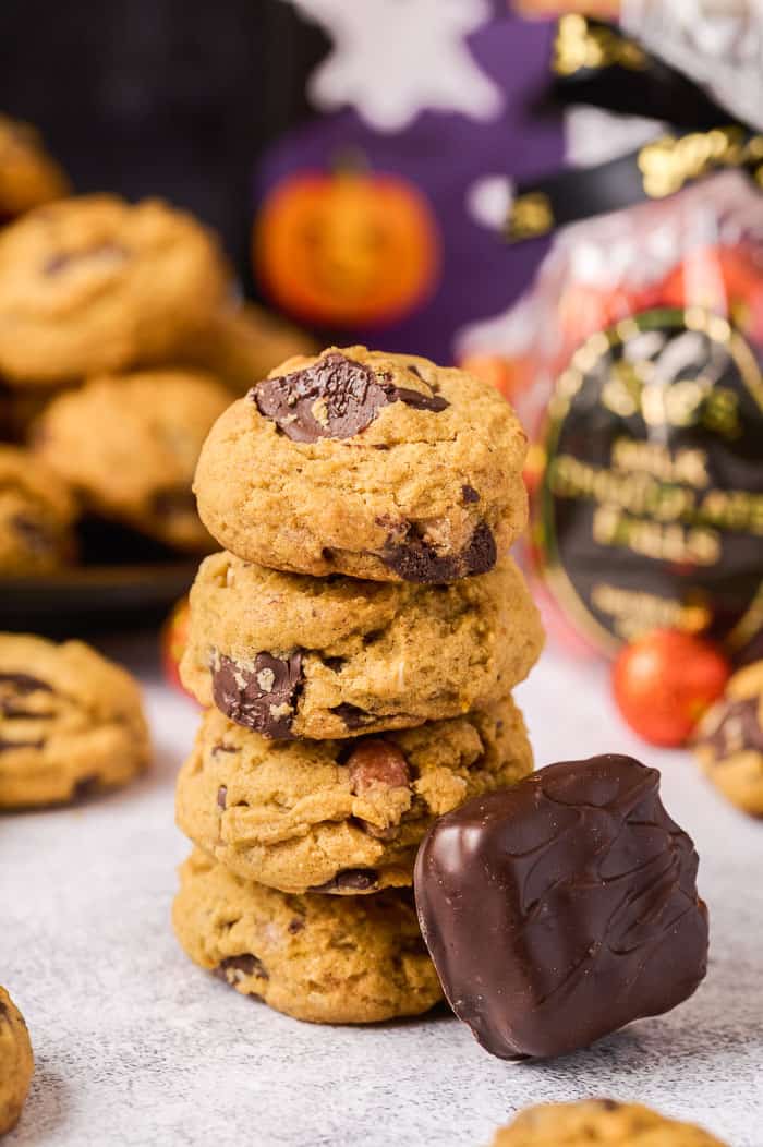 Chocolate Peanut Butter Pumpkin Cookies