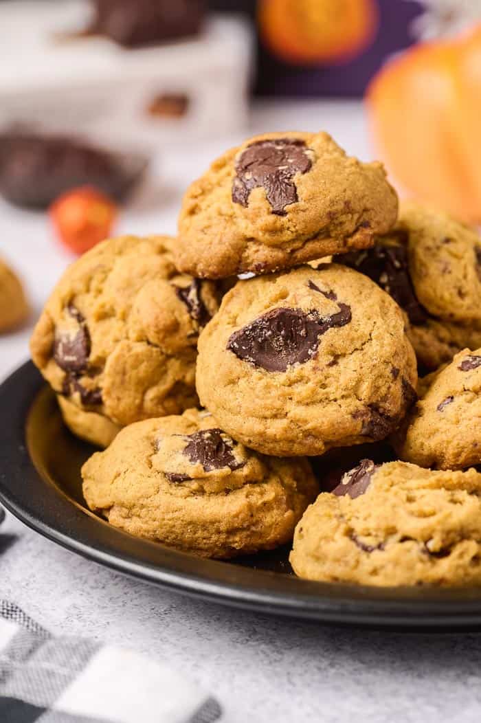 Chocolate Peanut Butter Pumpkin Cookies