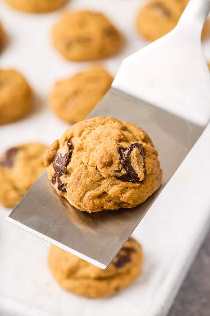 Chocolate Peanut Butter Pumpkin Cookies