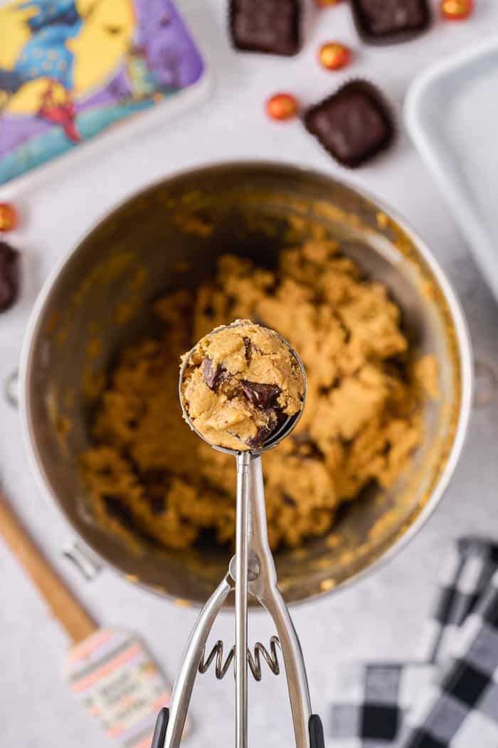 Chocolate Peanut Butter Pumpkin Cookies